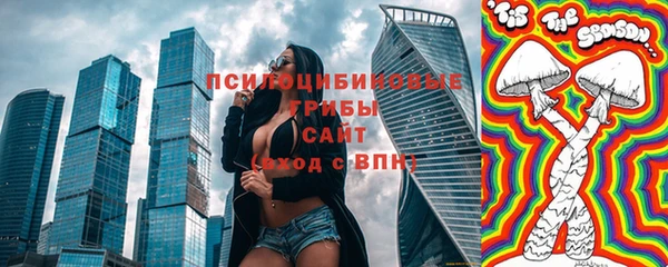 прущие грибы Арсеньев