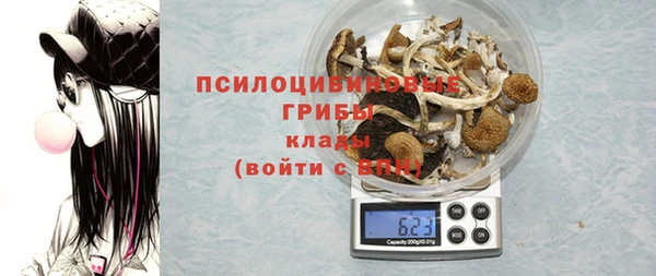 ПСИЛОЦИБИНОВЫЕ ГРИБЫ Пересвет