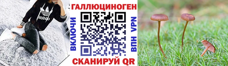 Псилоцибиновые грибы мухоморы  Карпинск 